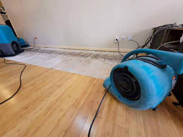 Reliable Basement Flood Cleanup contractor in New London, WI by Hirex Water Damage