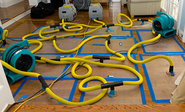 Professional Basement Flood Cleanup technician working in New London, WI